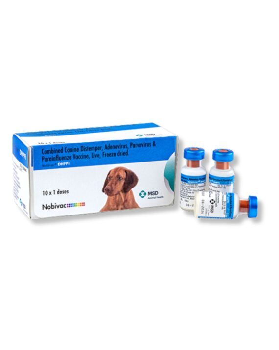 Nobivac DHPPi Vaccine